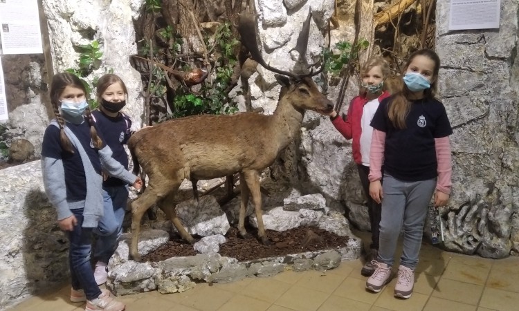 Muzeum Przyrodnicze- wycieczka klasy IIa
